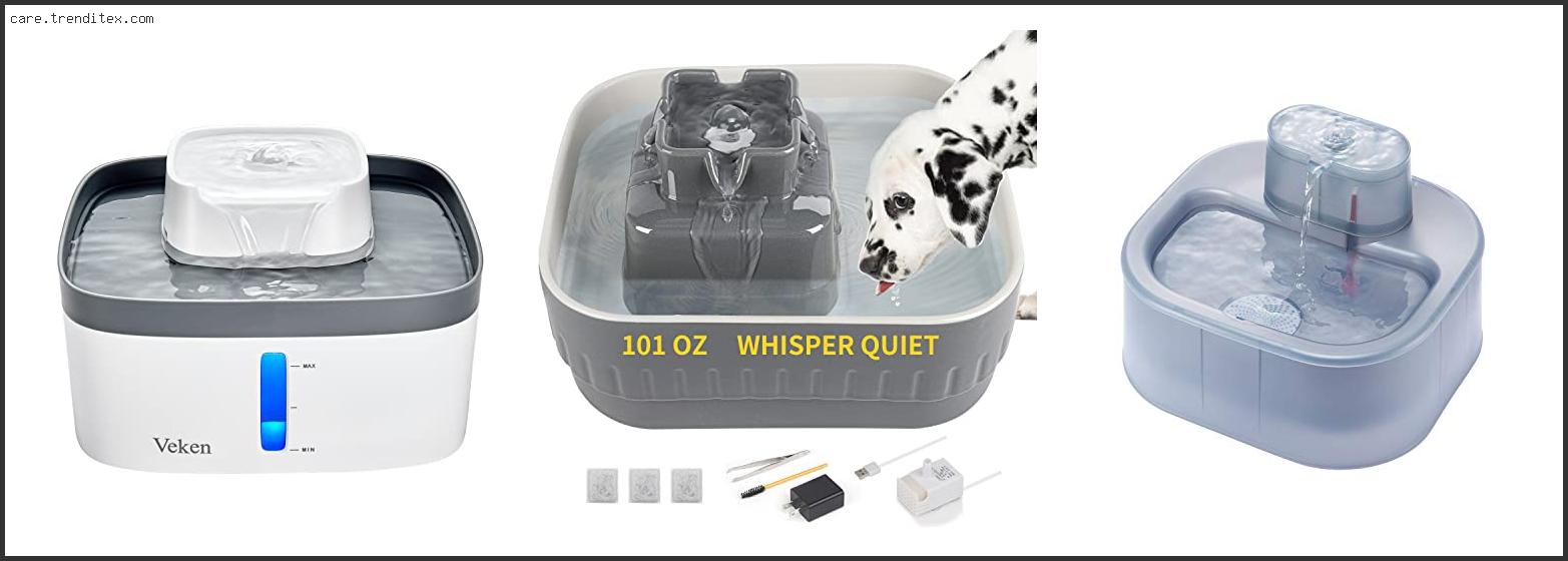 Best Large Dog Water Fountain