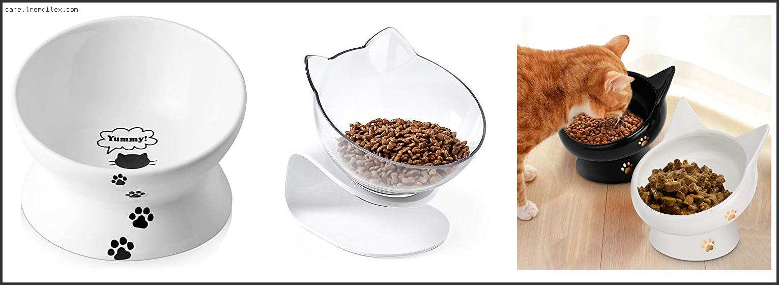 Best Anti Vomiting Cat Bowl