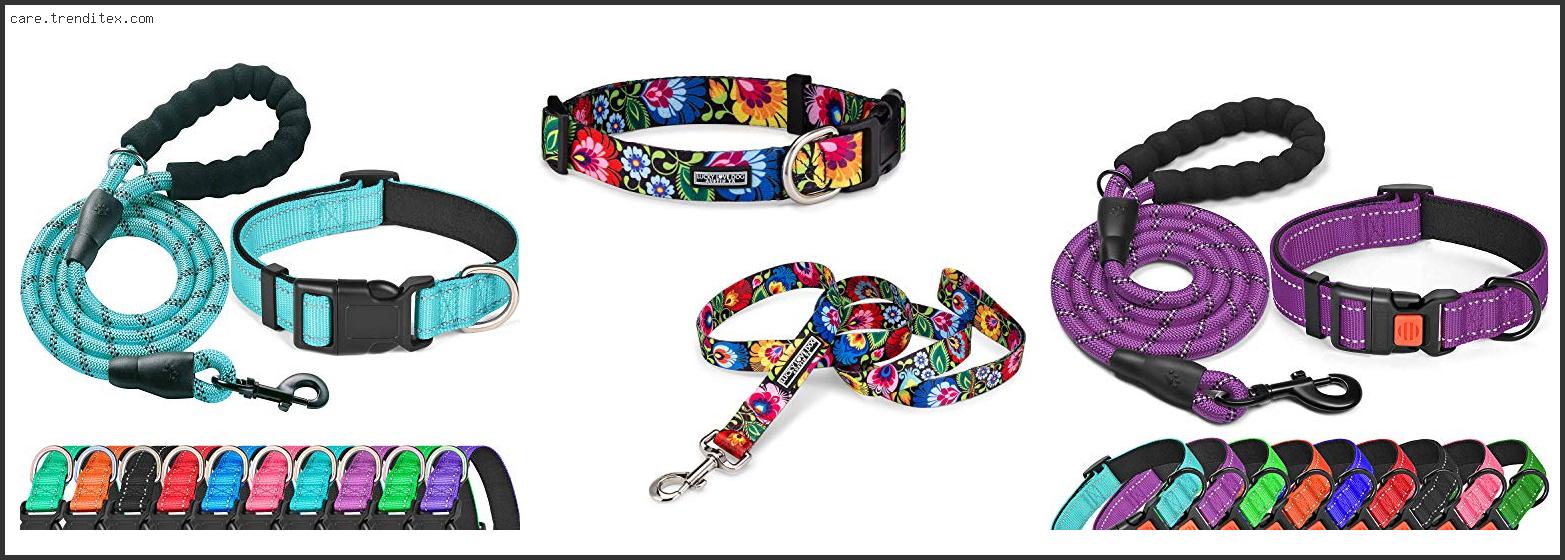 Best Dog Collars And Leashes