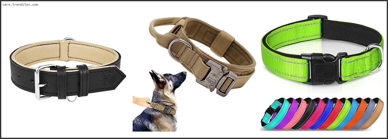 Best Heavy Duty Dog Collar