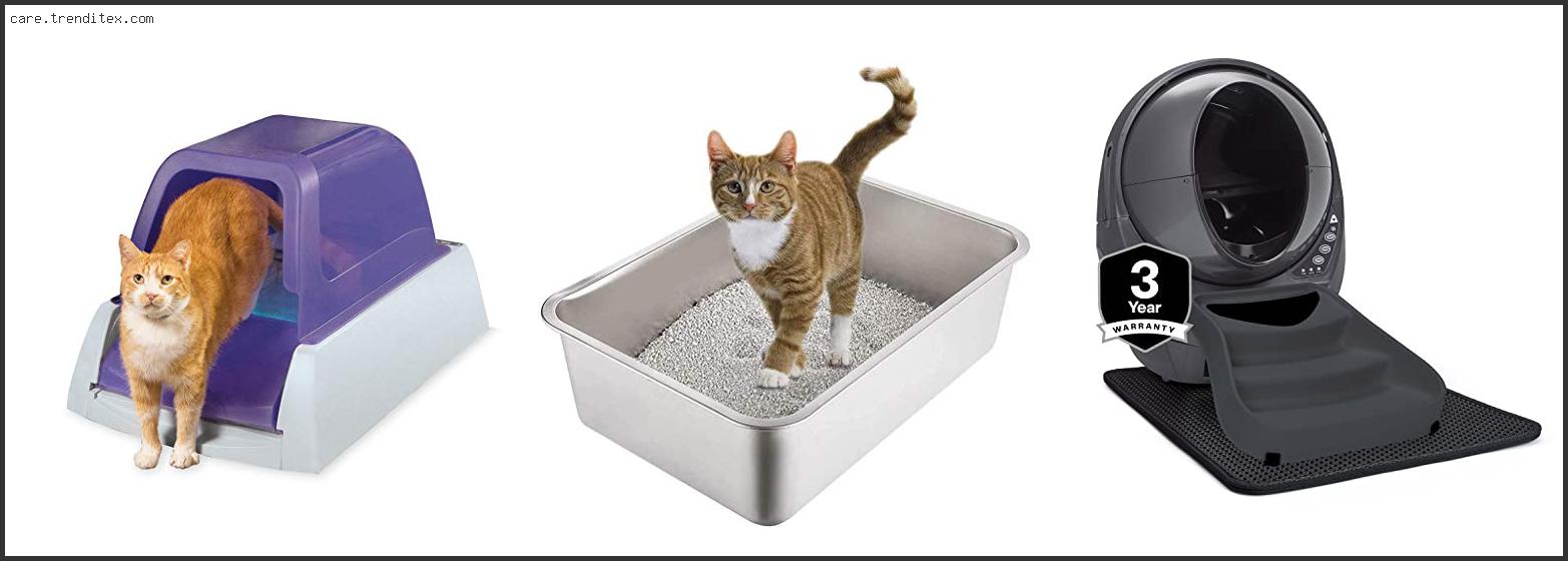 Best Cat Litter Box Easy Clean