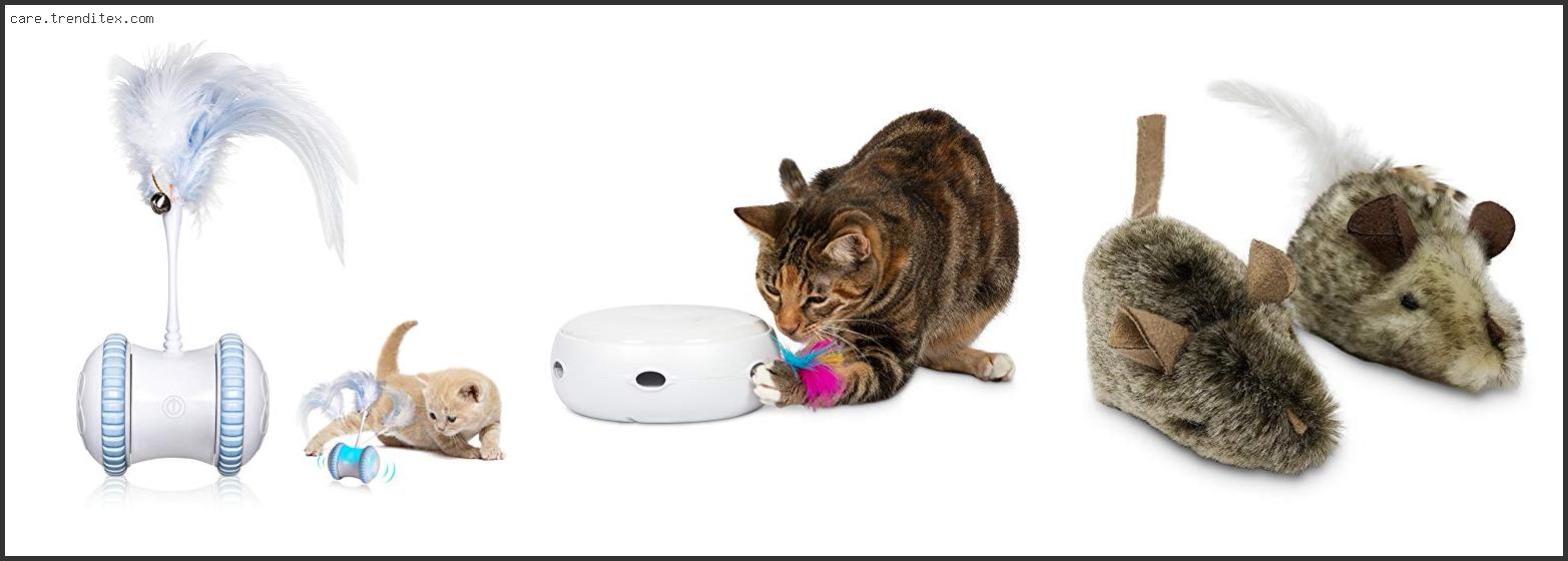 Best Electronic Interactive Cat Toys