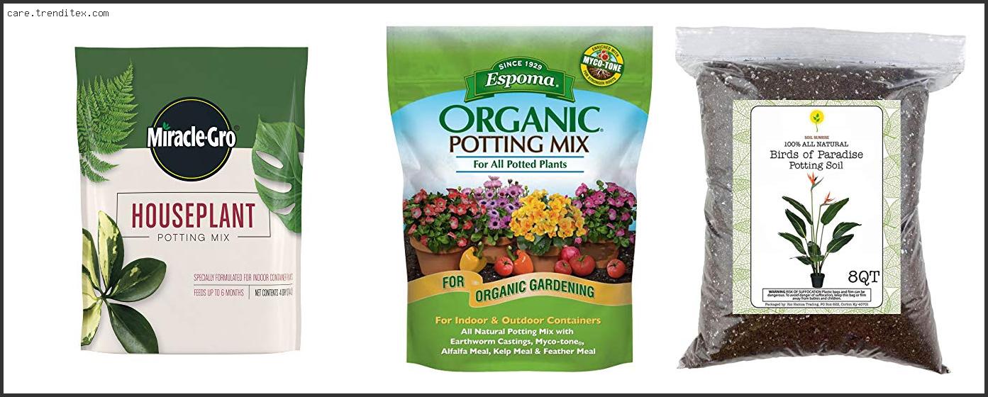 Best Potting Mix For Bird Of Paradise