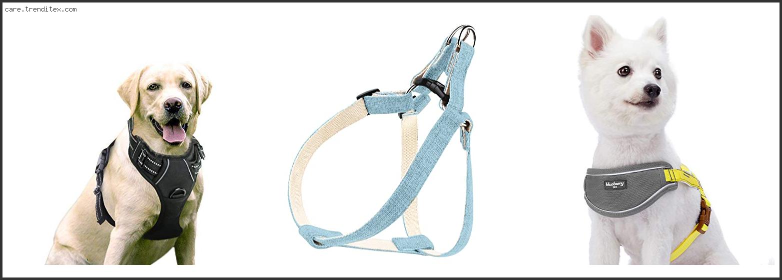 Best Dog Harness For Sensitive Skin