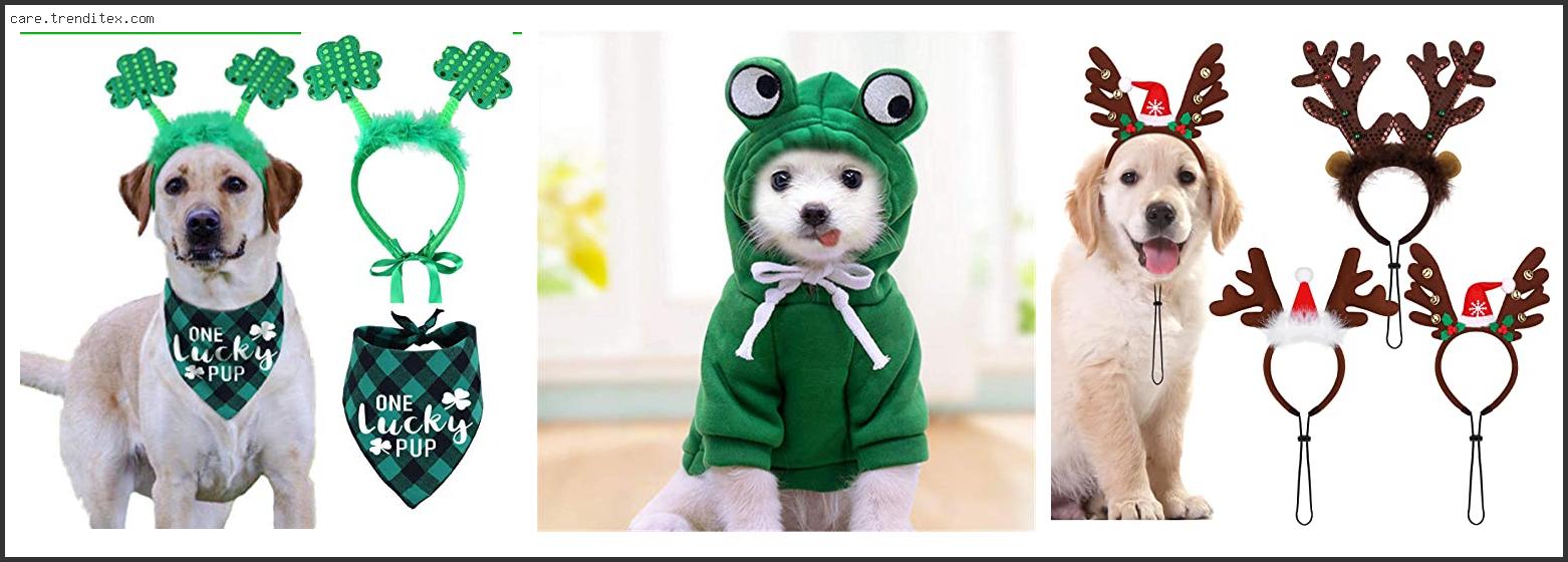 Best Costumes For Small Dogs