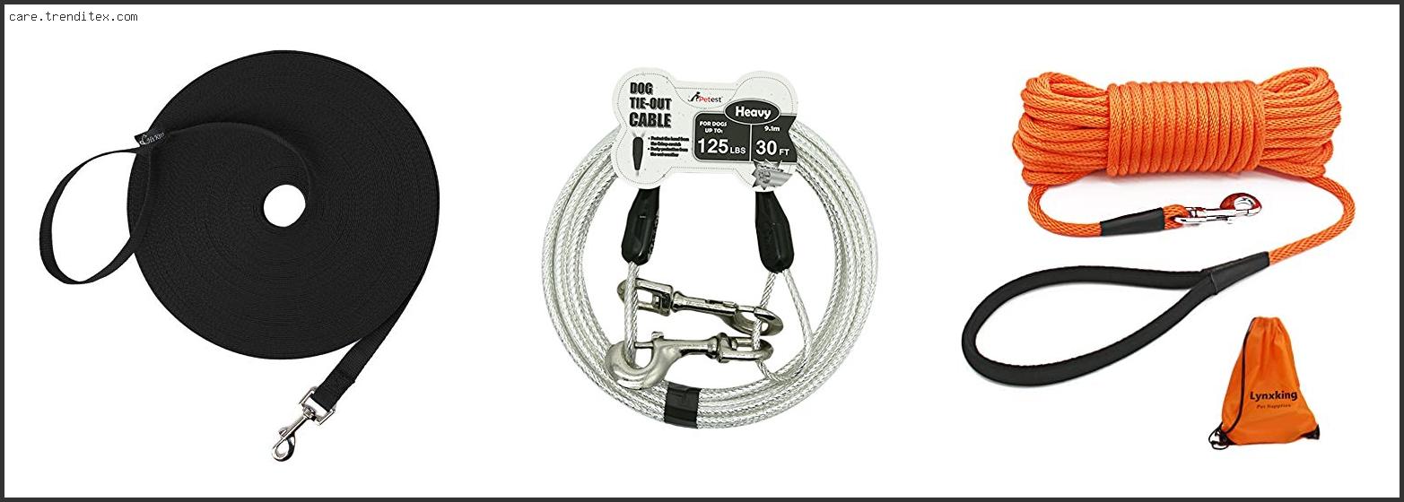 Best 30 Foot Dog Leash