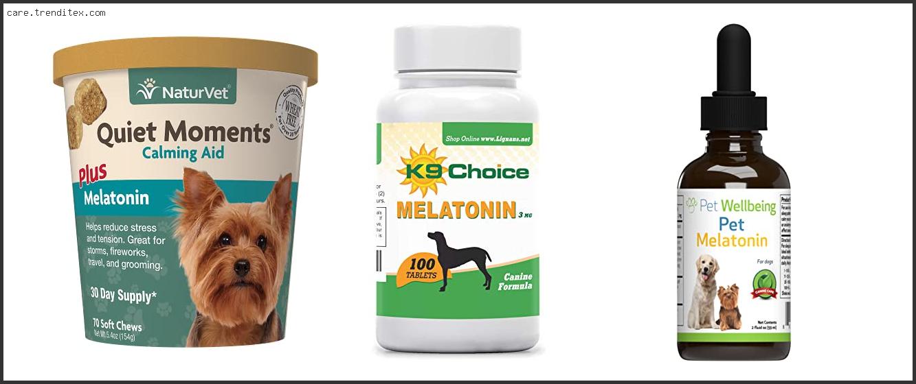 Best Melatonin For Dogs