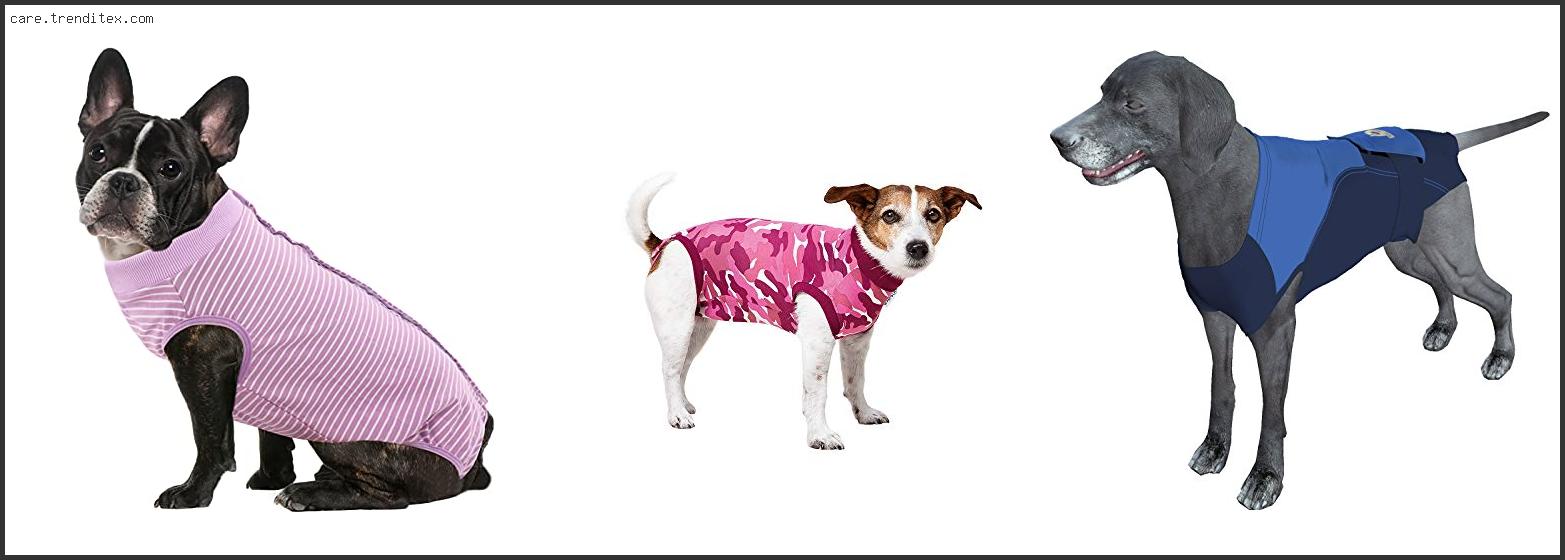 Best Dog Recovery Suit