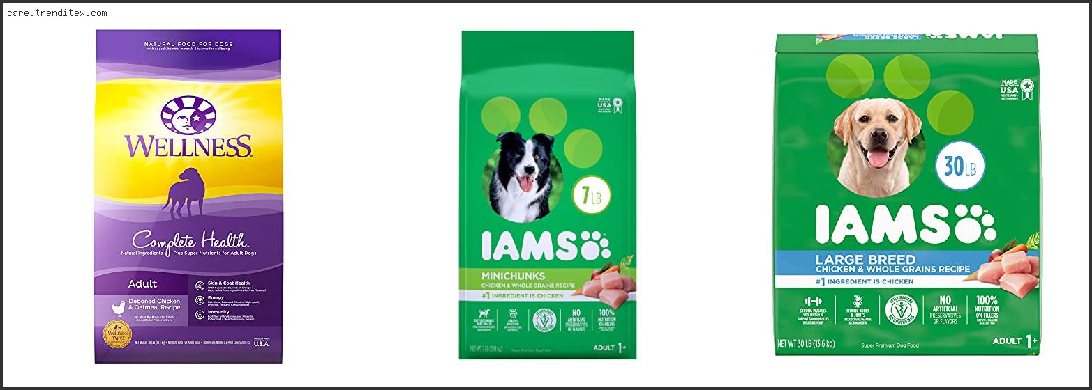 Best Dry Dog Food Available