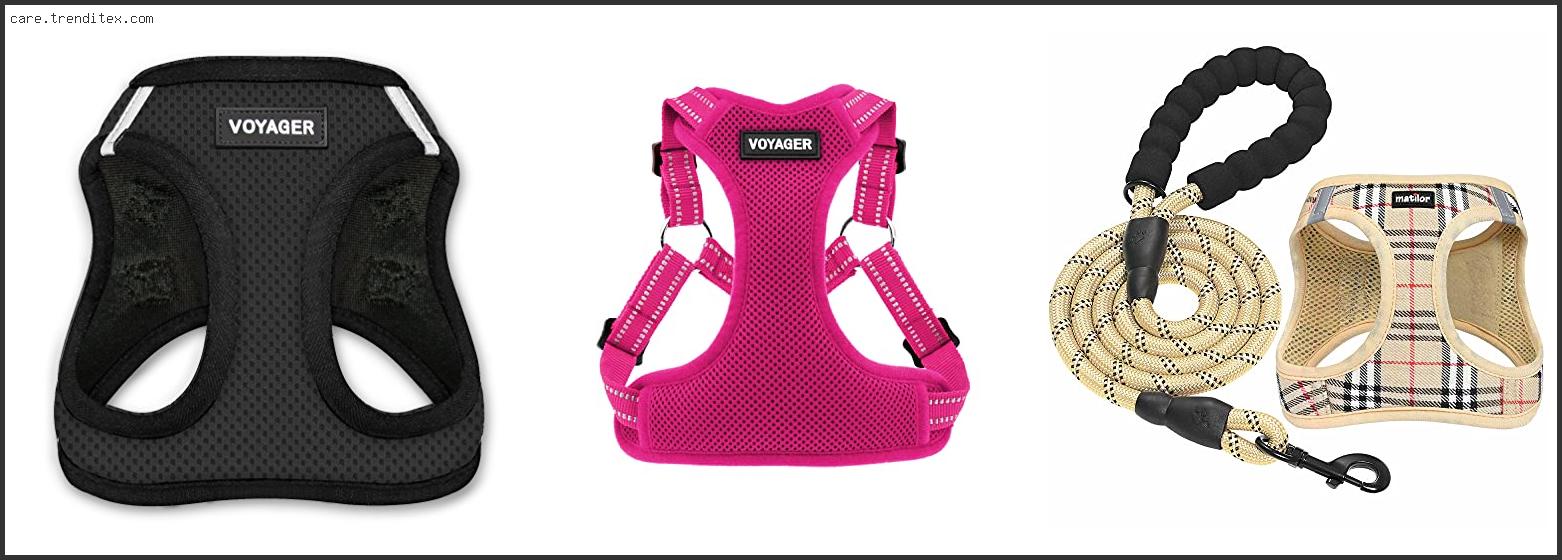 Best Step In Dog Harness