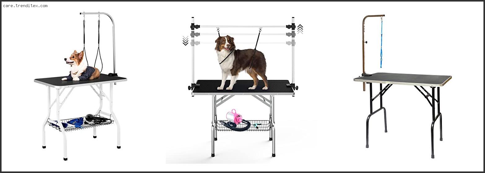 Best Small Dog Grooming Table