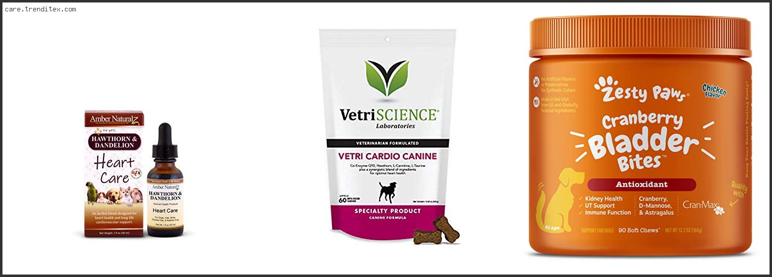 Best Natural Diuretic For Dogs