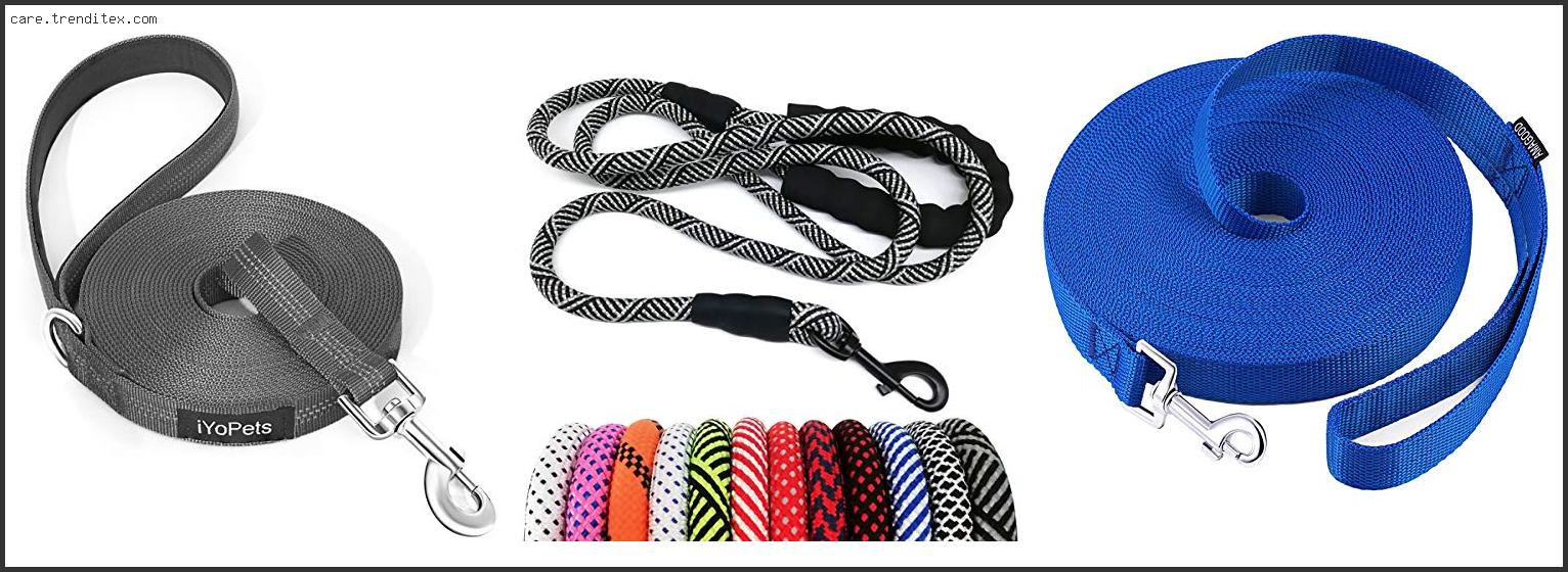 Best Long Dog Leash