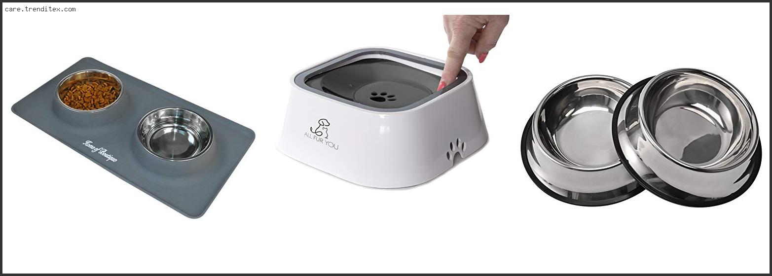 Best No Spill Cat Water Bowl