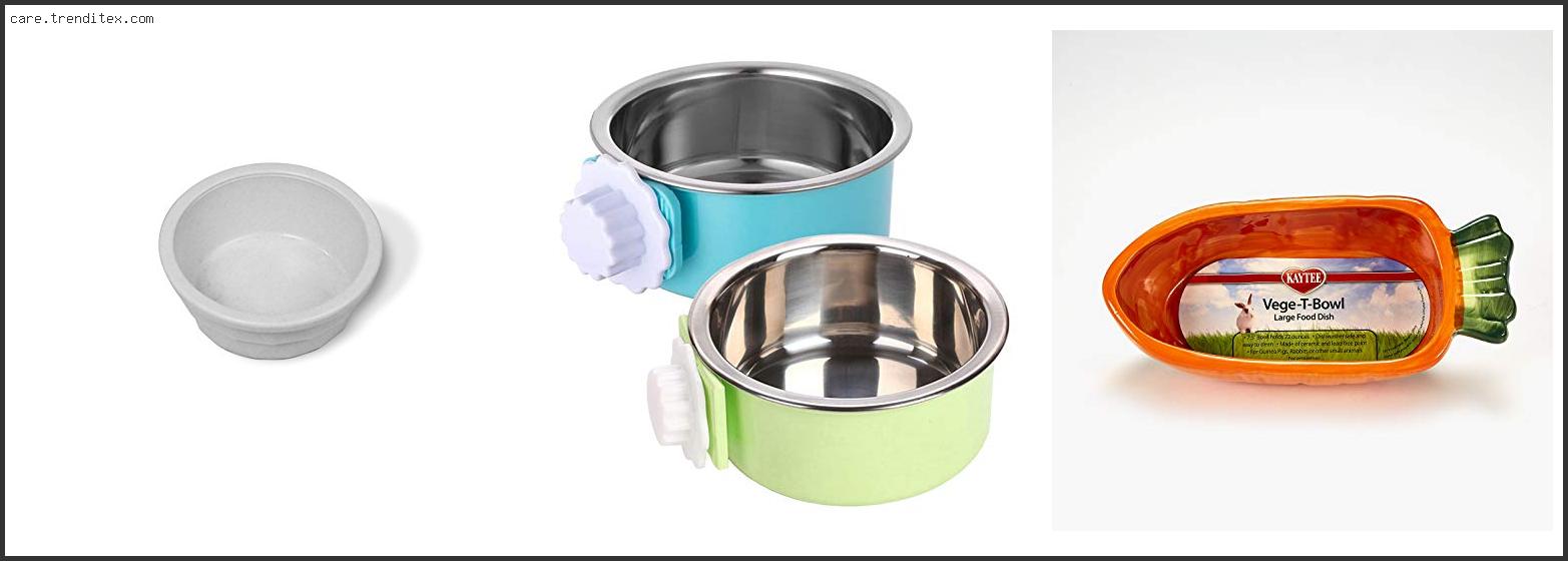 Best Rabbit Food Bowls