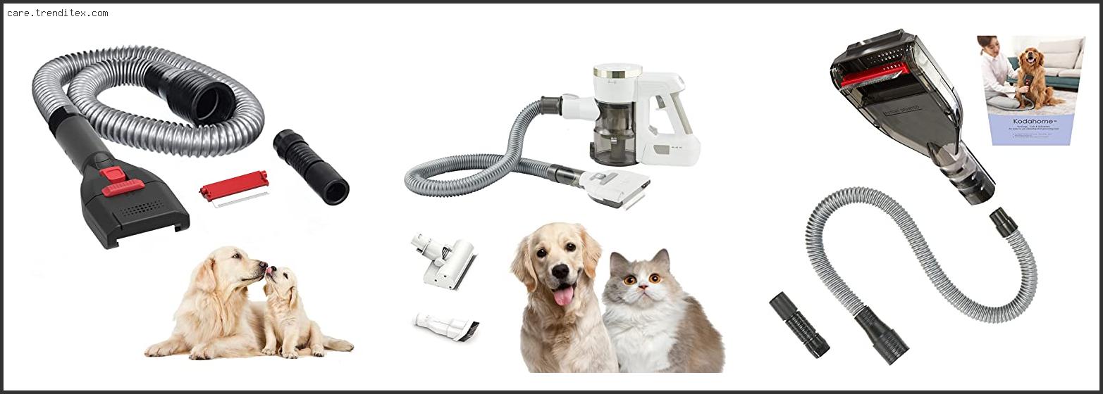 Best Vacuum Attachment For Dog Grooming