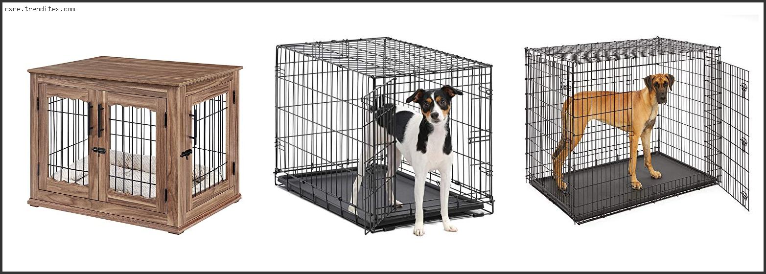 Best Wire Dog Kennel