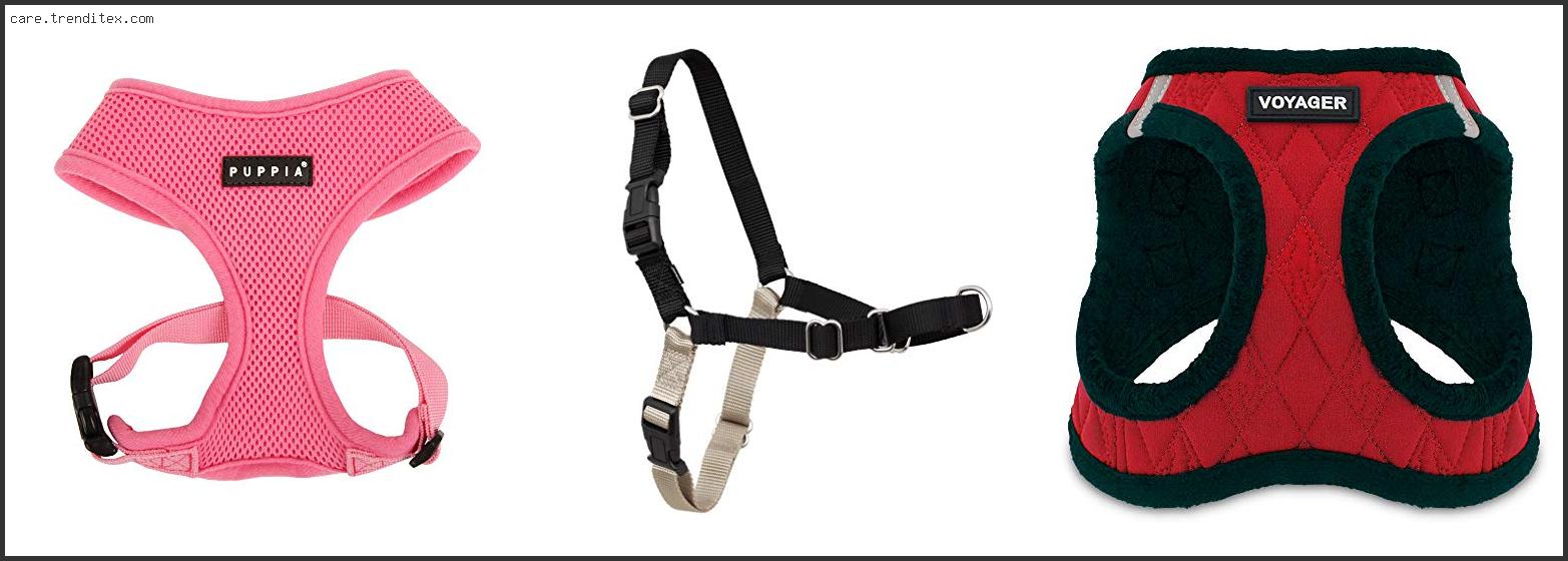 Best Harness For Fluffy Dogs