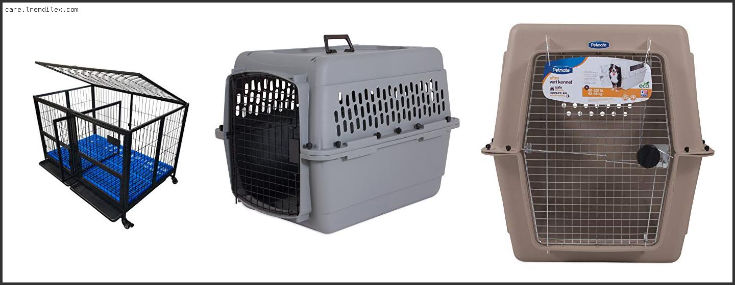 Best Plastic Dog Kennel