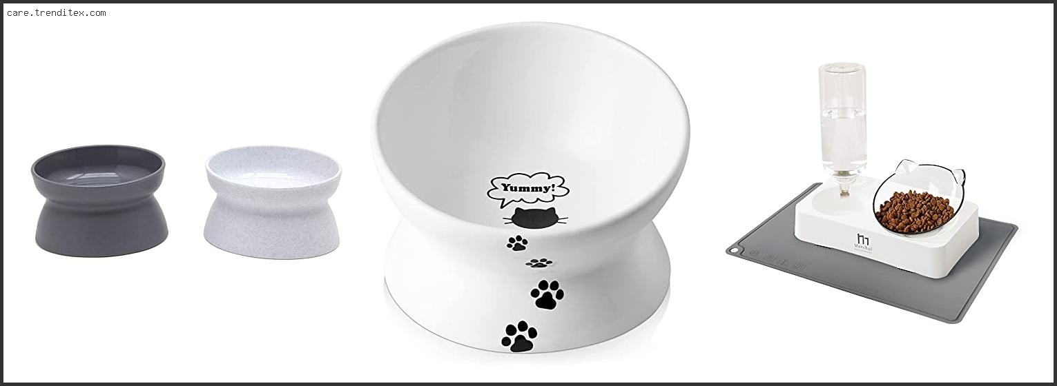 Best Cat Feeding Bowls