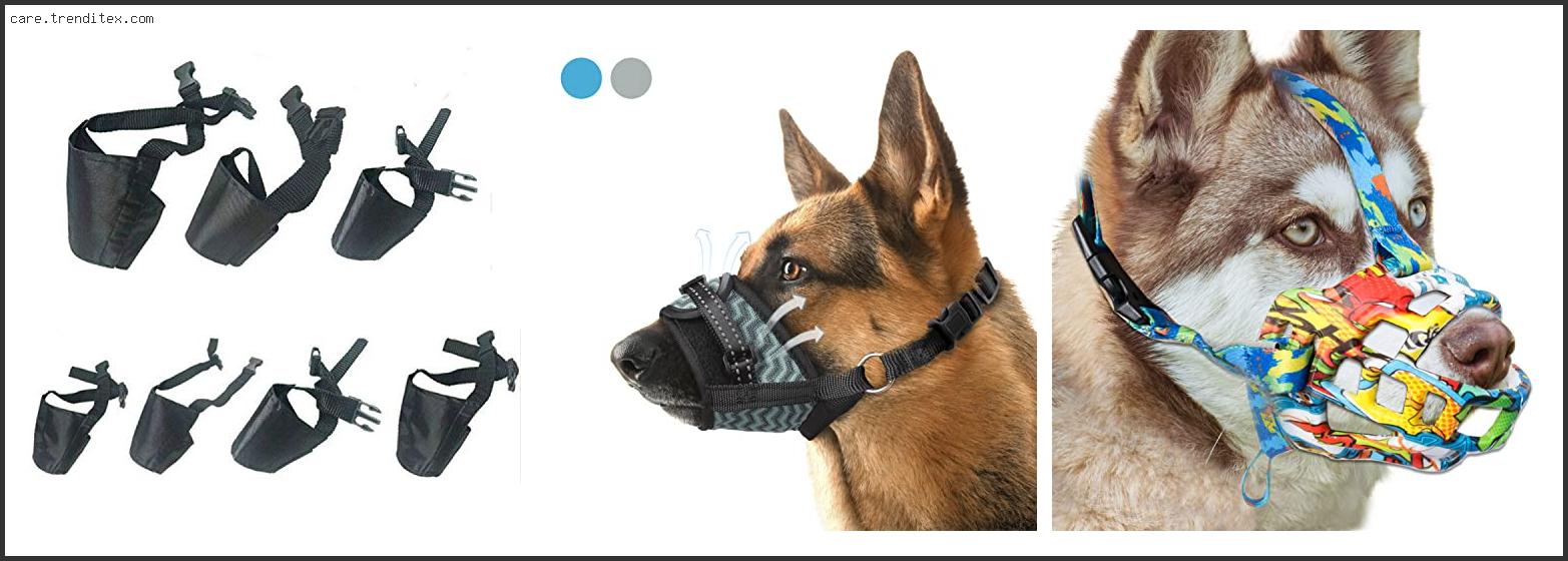 Best Dog Muzzles For Biting