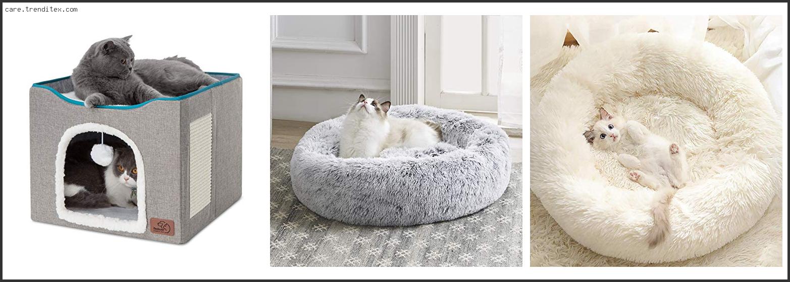 Best Beds For Cats