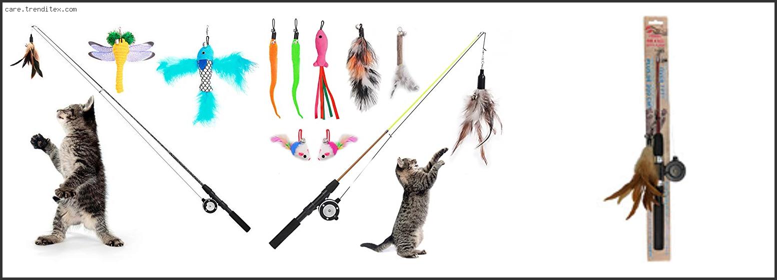 Best Cat Fishing Rod Toy