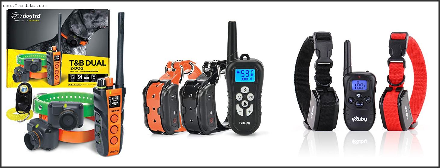 Best Dual Dog Training Collars