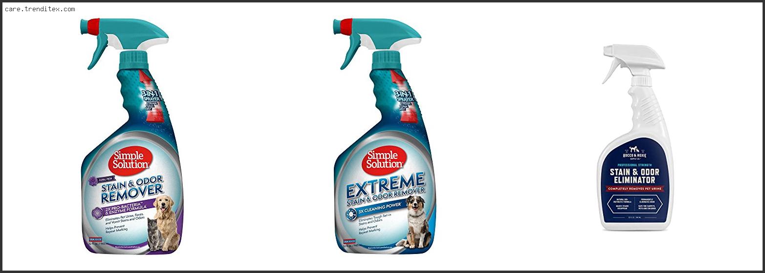 Best Enzymatic Cleaner For Dog Urine