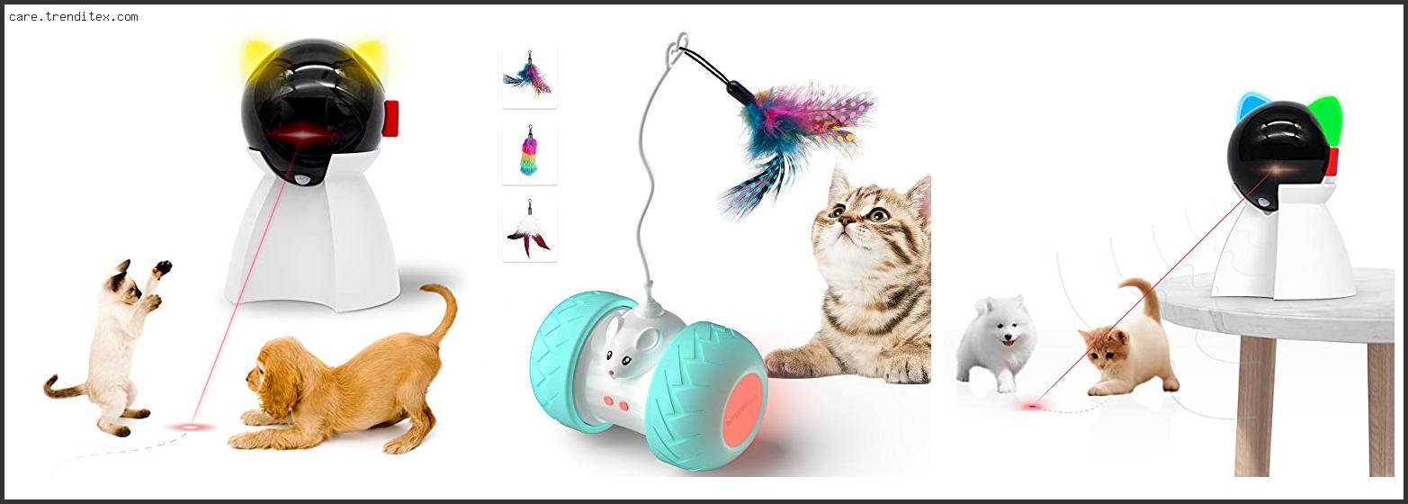 Top 10 Best Motion Activated Cat Toy Reviews With Scores Best Motion Activated Cat Toy