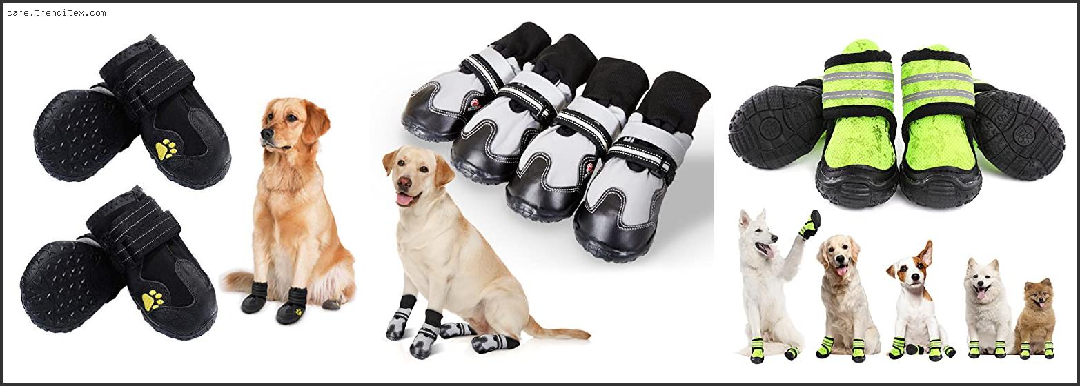 Best Dog Shoes For Hiking