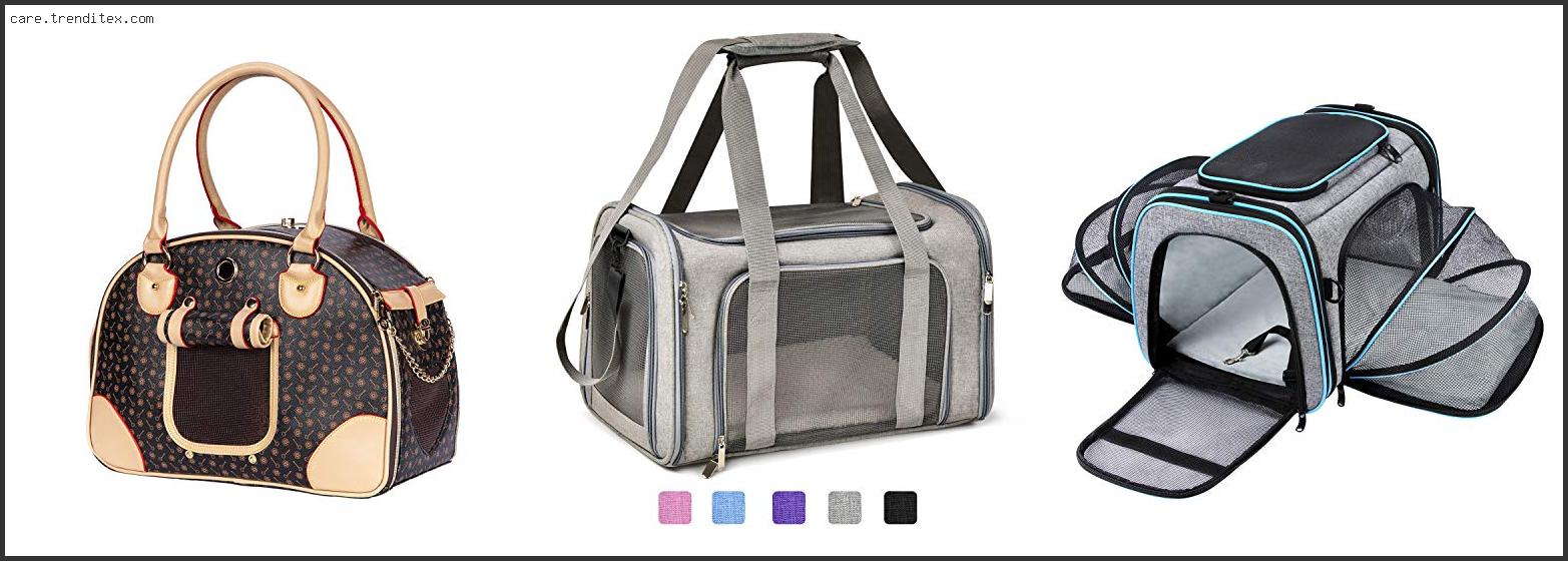 Best Small Dog Carriers