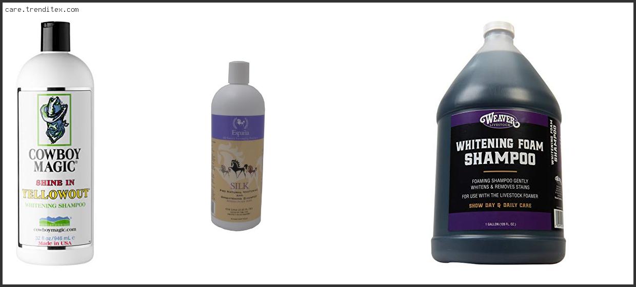 Best Whitening Shampoo For Horses