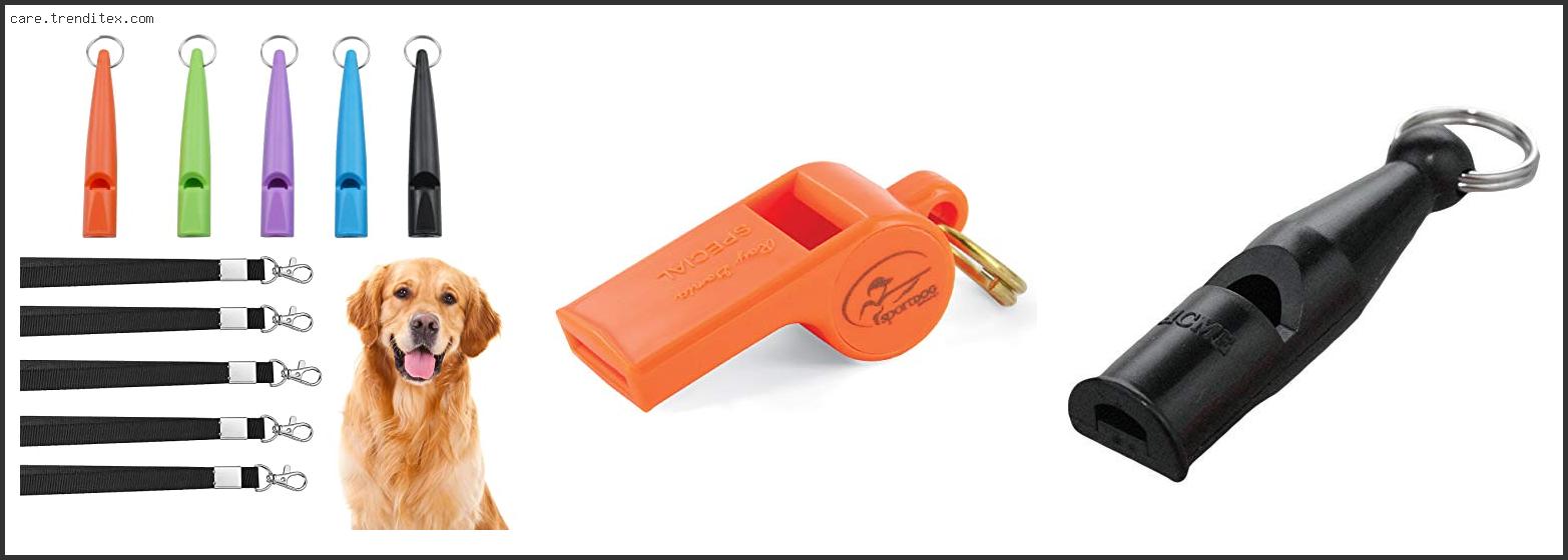 Best Whistle For Dog Recall