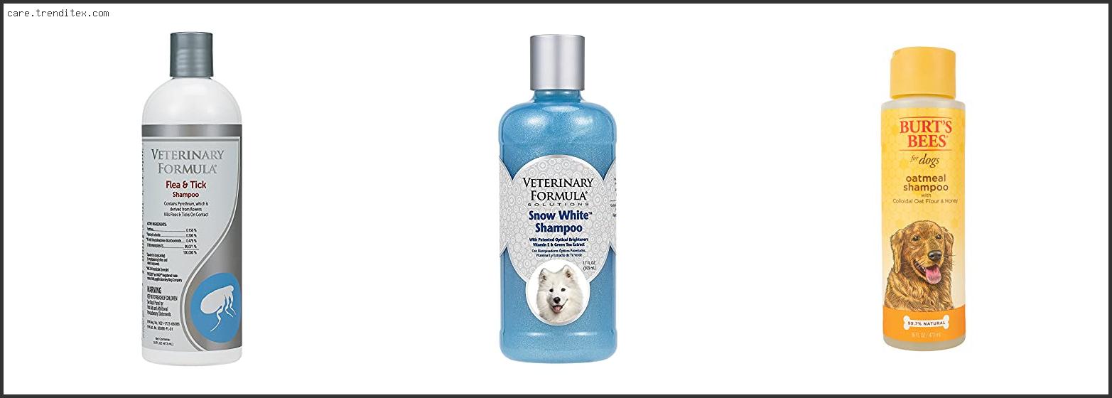 Best Brand Of Dog Shampoo