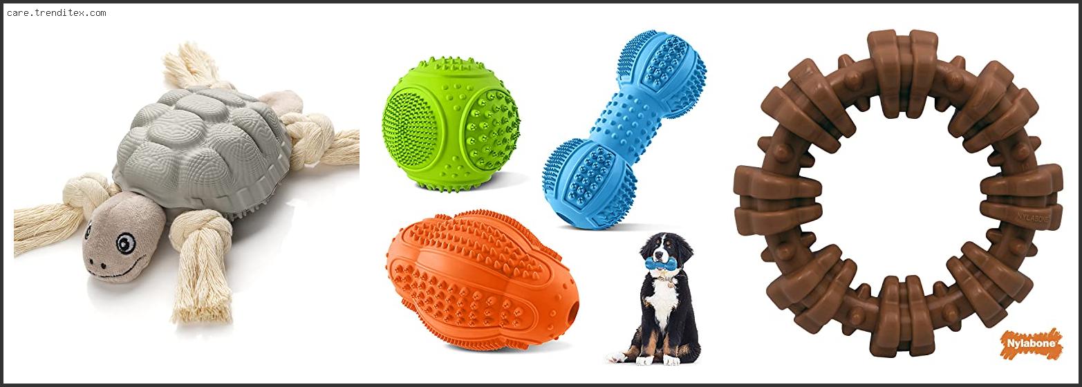 Best Tough Dog Toys