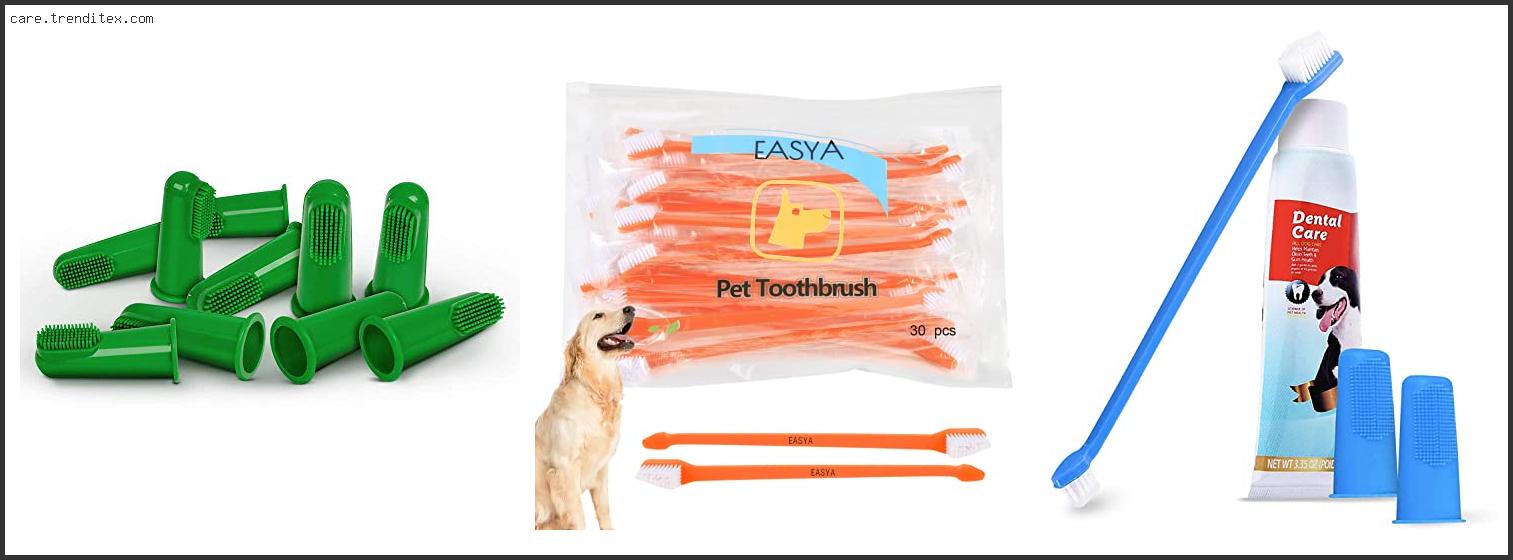 Best Dental Brush For Dogs