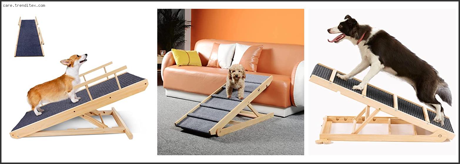 Best Adjustable Dog Ramp