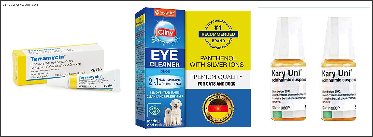 Best Eye Ointment For Dogs