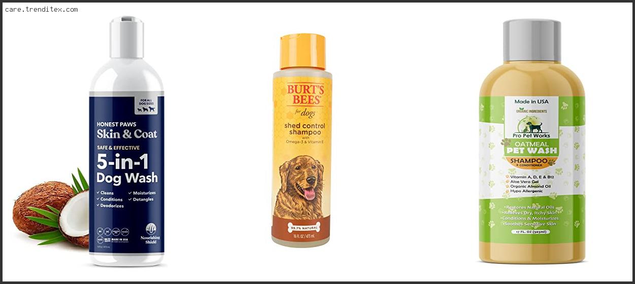 Best Dog Shampoo For Golden Retrievers