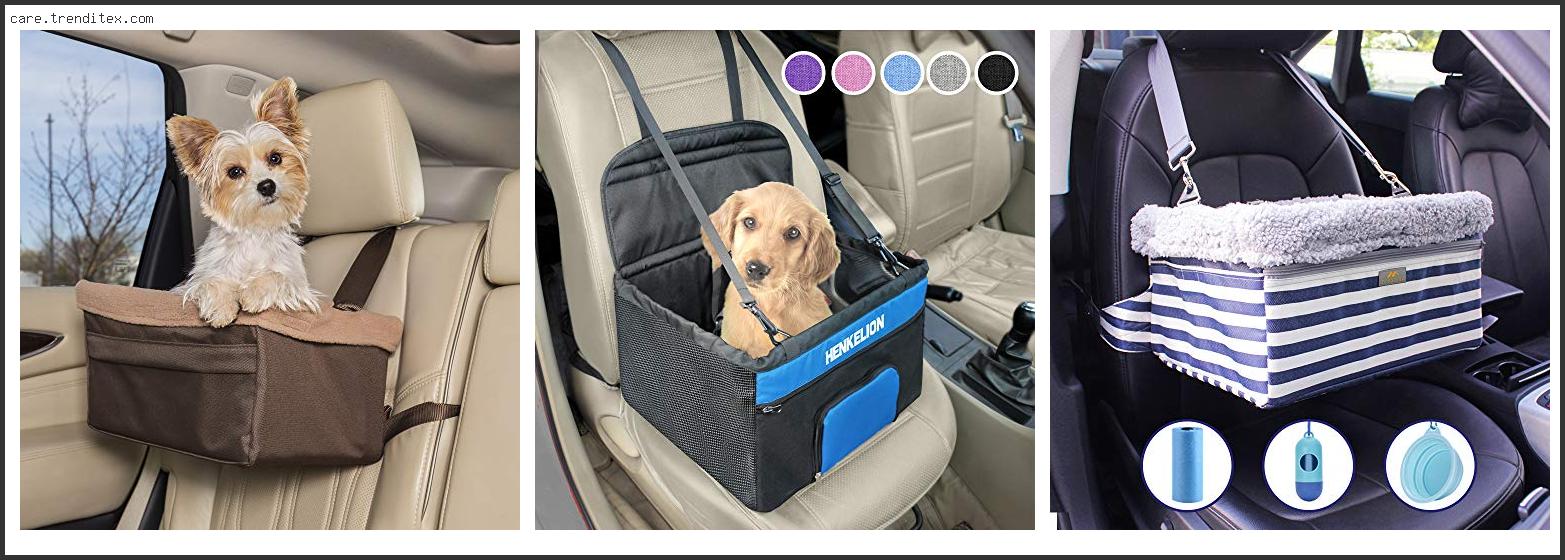 Best Car Seat For Small Dogs