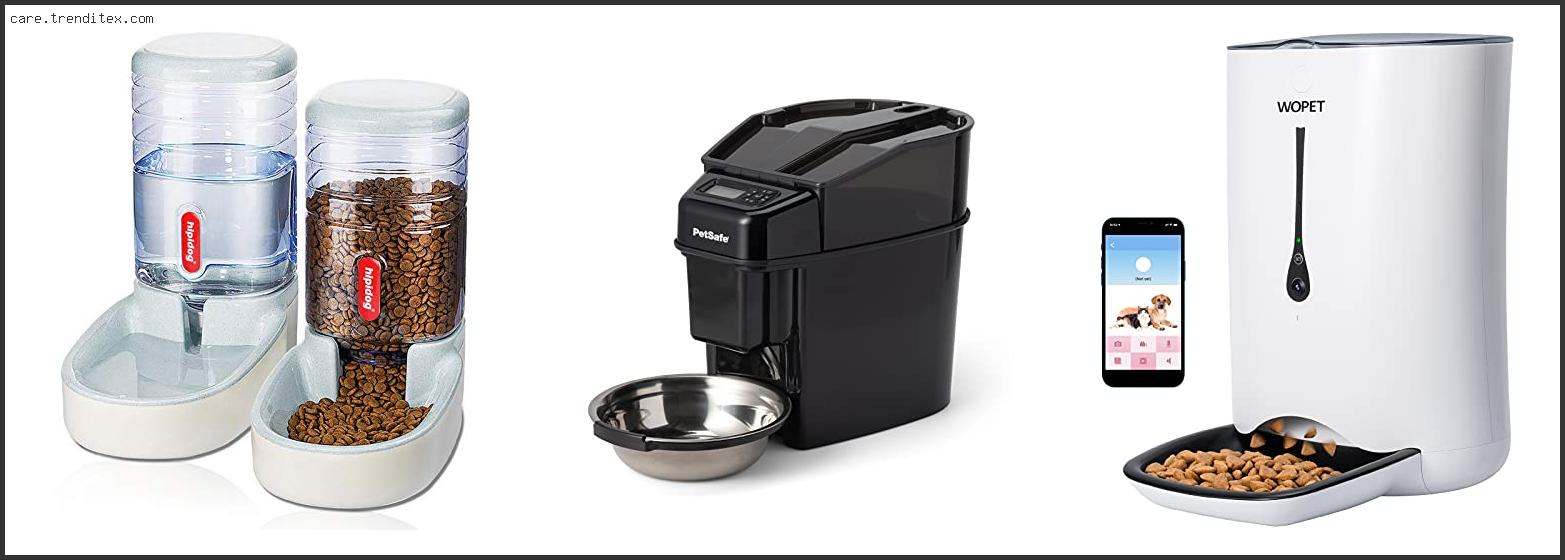 Best Outdoor Automatic Dog Feeder