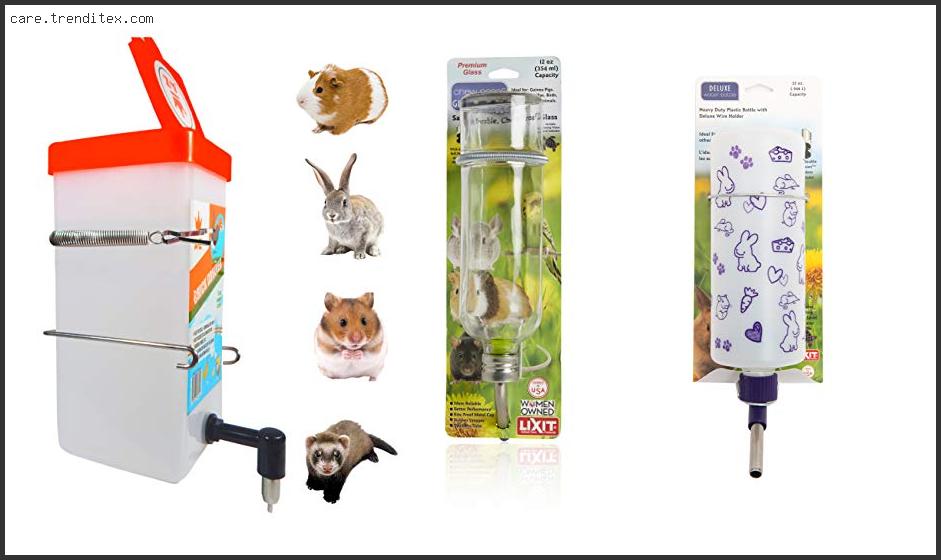 Best Water Bottle For Small Animals