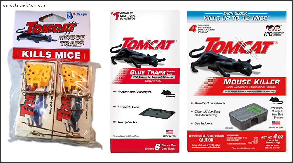 Best Tomcat Mouse Trap