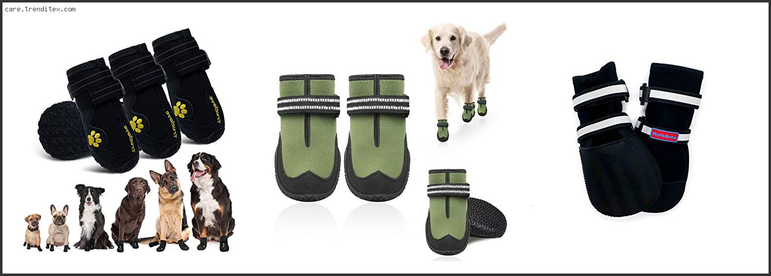 Best Dog Boots For Dragging Paws