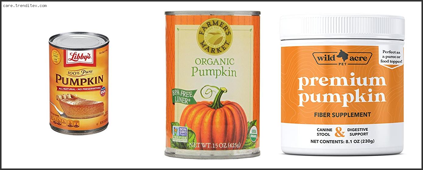 Best Pumpkin Puree For Dogs