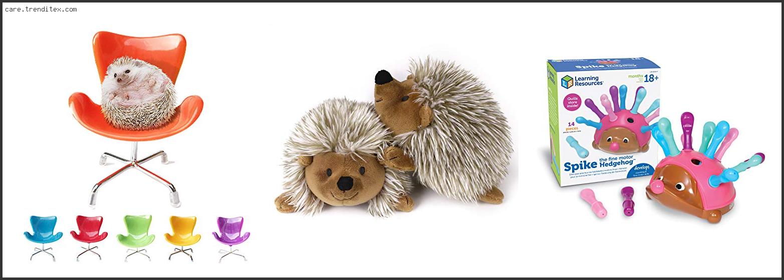 Top 10 Best Toys For Hedgehogs With Expert Recommendation Best Toys For Hedgehogs