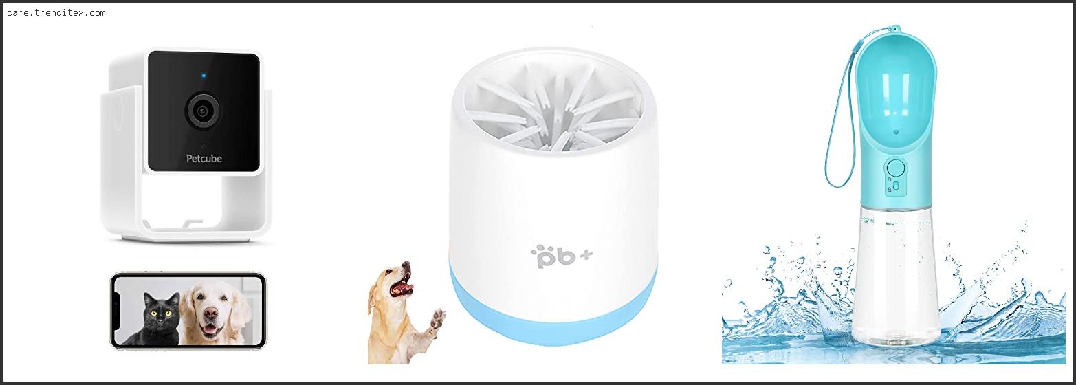 Best Gadgets For Dog Owners