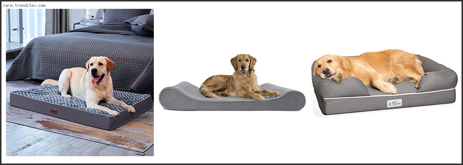 Best Dog Bed Golden Retriever