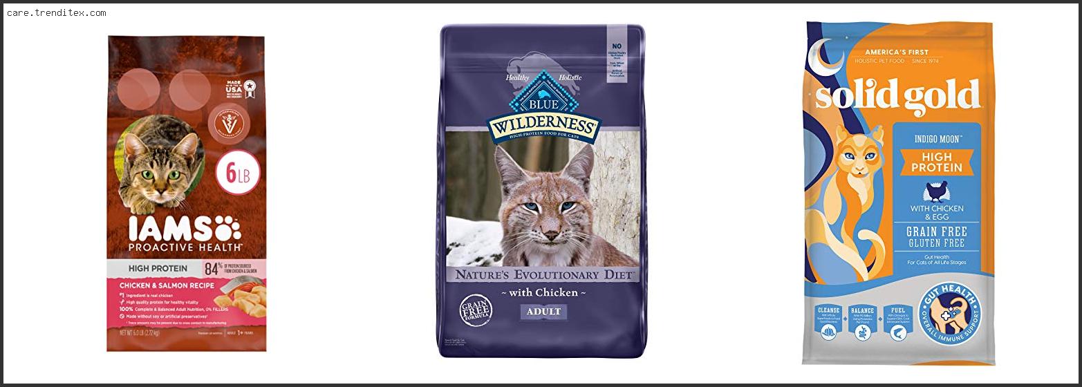 Best High Protein Cat Food